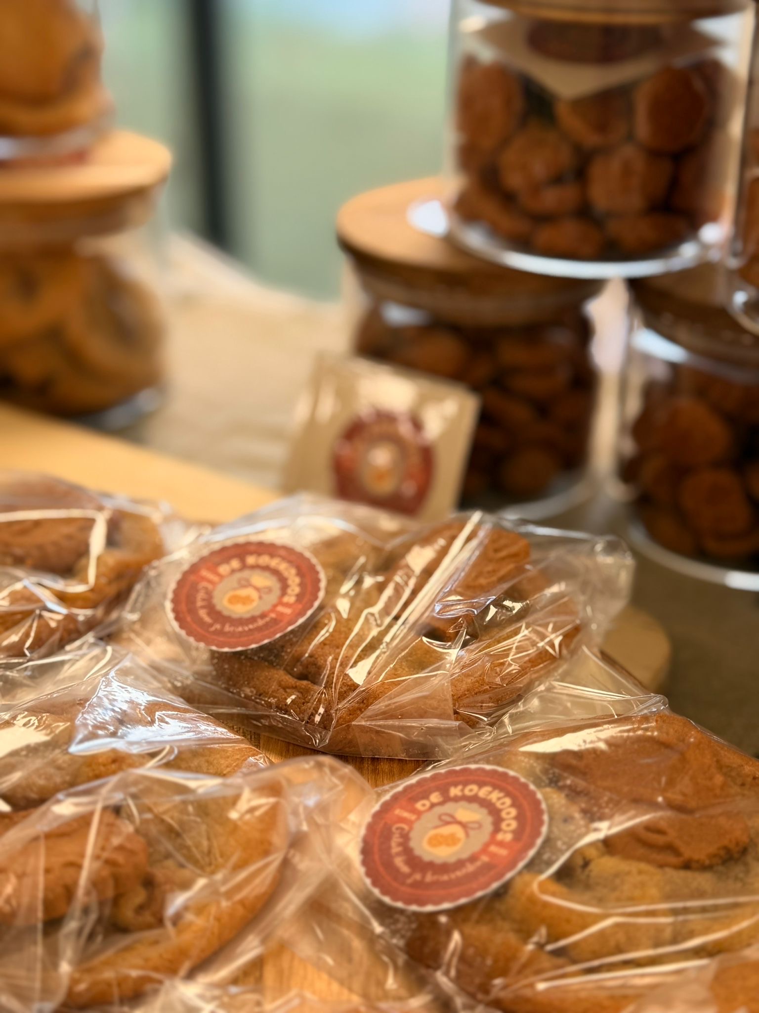 10241920 dc1f 40a1 91ae 4eeb4595d6e7 2